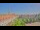 Webcam in Uelzen, 30.5 km entfernt