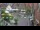 Webcam in Meppen, 11.5 km entfernt