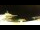 Webcam in Spitsbergen - Longyearbyen, 45 km