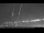 Webcam in Seattle, Washington, 53.8 km