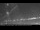 Webcam in Seattle, Washington, 47.5 mi away