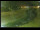 Webcam in Yamagishi, 388.3 km