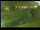 Webcam in Yamagishi, 1 mi away
