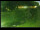 Webcam in Yamagishi, 24.9 km