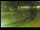 Webcam in Yamagishi, 1.2 mi away