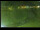 Webcam in Yamagishi, 413.5 km
