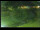 Webcam in Yamagishi, 173.7 mi away
