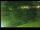 Webcam in Yamagishi, 610.8 km