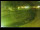 Webcam in Yamagishi, 162.7 km