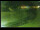 Webcam in Yamagishi, 326.9 km entfernt