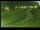Webcam in Yamagishi, 372.8 km
