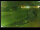 Webcam in Yamagishi, 1 mi away
