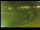 Webcam in Yamagishi, 128.4 km