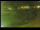 Webcam in Yamagishi, 138.9 km