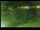 Webcam in Yamagishi, 413.5 km entfernt