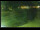 Webcam in Yamagishi, 3.3 km