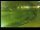Webcam in Yamagishi, 7.3 mi away