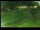 Webcam in Yamagishi, 391 km