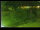 Webcam in Yamagishi, 179.7 mi away