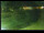 Webcam in Yamagishi, 33.6 mi away