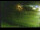 Webcam in Yamagishi, 225.2 km
