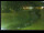 Webcam in Yamagishi, 150.9 mi away