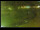Webcam in Yamagishi, 231.6 km