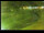 Webcam in Yamagishi, 162.7 km