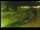 Webcam in Yamagishi, 97.1 km