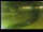 Webcam in Yamagishi, 97.1 km