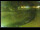 Webcam in Yamagishi, 232.3 km