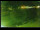 Webcam in Yamagishi, 138.9 km entfernt