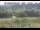 Webcam in Higashisenboku, 62.7 km