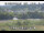 Webcam in Higashisenboku, 15.9 km