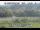 Webcam in Higashisenboku, 85.6 mi away