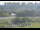 Webcam in Higashisenboku, 0.7 mi away