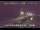 Webcam in Shiwa, 686 km entfernt