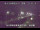 Webcam in Shiwa, 344.7 km