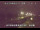 Webcam in Shiwa, 80.3 mi away