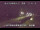 Webcam in Shiwa, 56.3 mi away