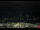 Webcam in Innsbruck, 5.8 km entfernt