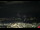 Webcam in Innsbruck, 2.5 mi away