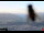 Webcam in Innsbruck, 5.8 km