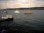 Webcam in Thalwil, 1.3 mi away