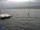 Webcam in Thalwil, 9.2 km