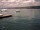Webcam in Thalwil, 9.8 km