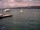 Webcam in Thalwil, 4.9 mi away