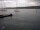Webcam in Thalwil, 10.7 km