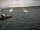 Webcam in Thalwil, 7.7 mi away