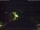 Webcam in Bad Waldsee, 8 mi away